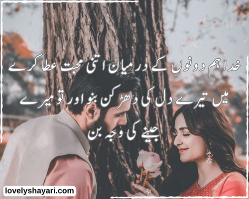 2 line love shayari in English 