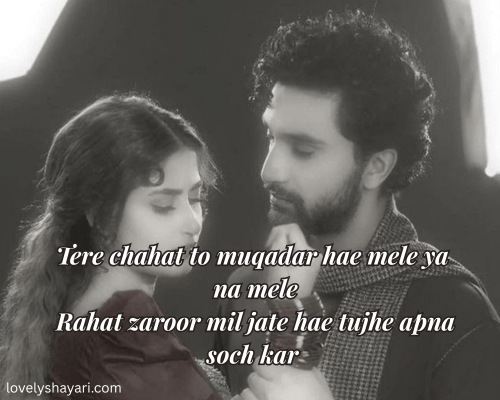 love shayari in English